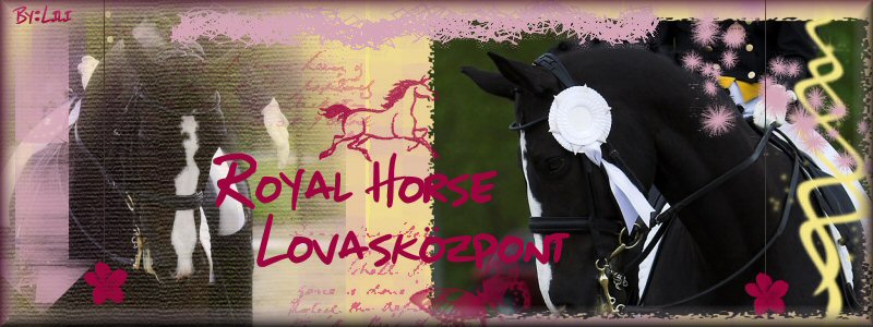 Royal Horse Lovaskzpont
